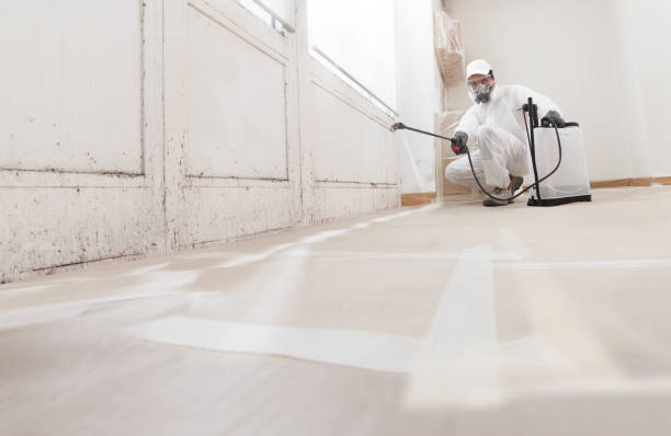 24/7 Emergency Mold Cleanup experts in Carr, CO